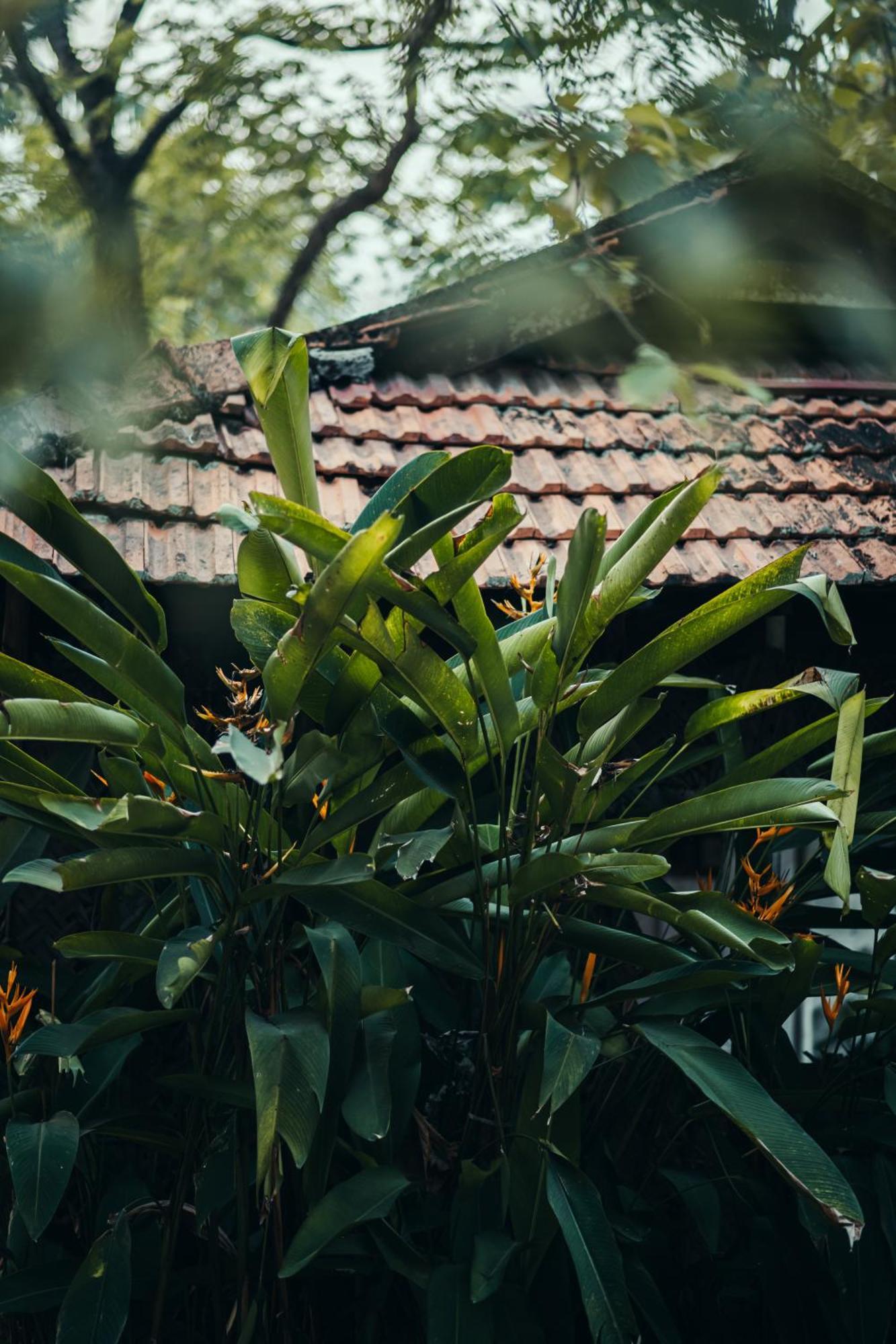 Paddlecult Surf Retreat Bed and Breakfast Varkala Exterior foto
