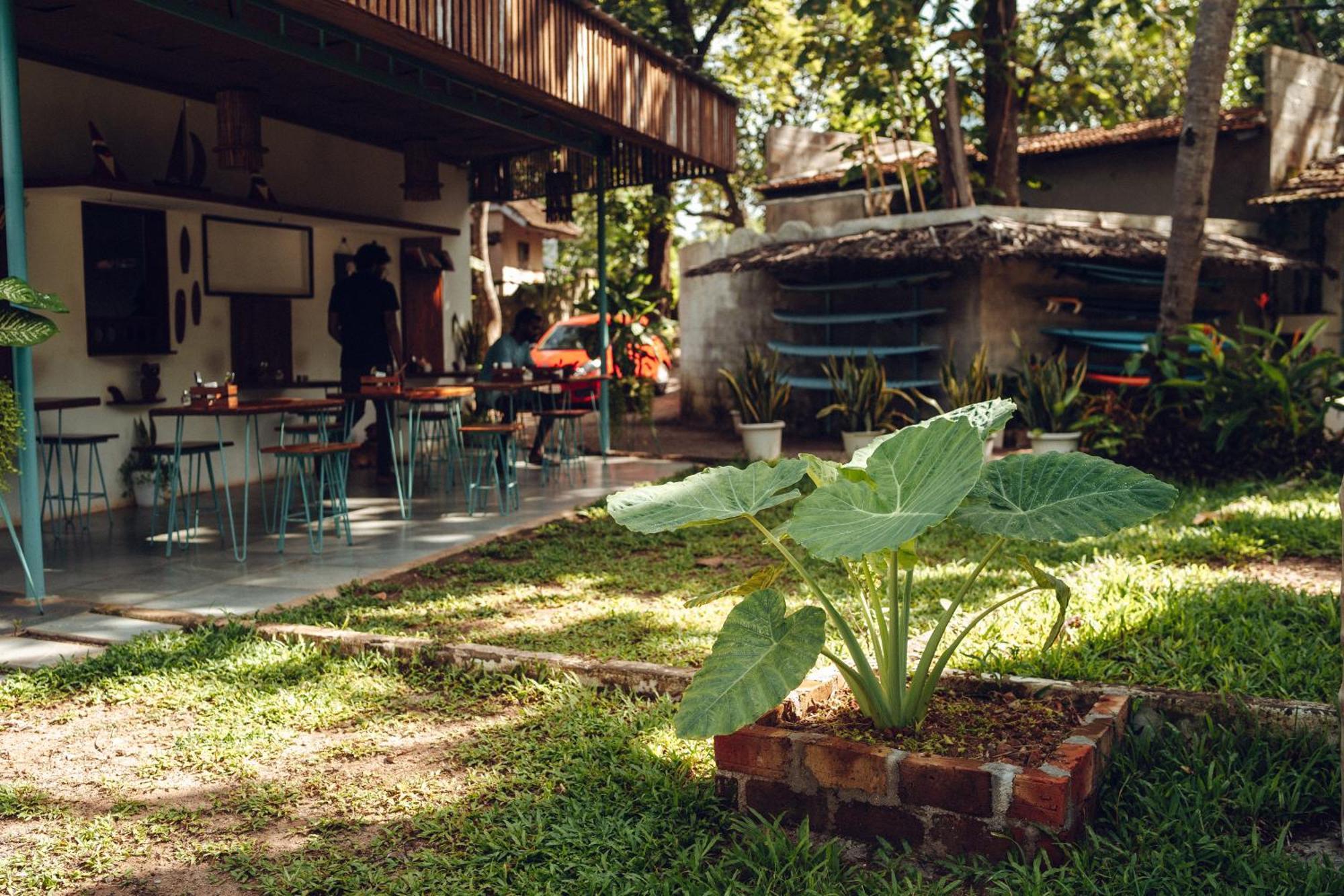 Paddlecult Surf Retreat Bed and Breakfast Varkala Exterior foto