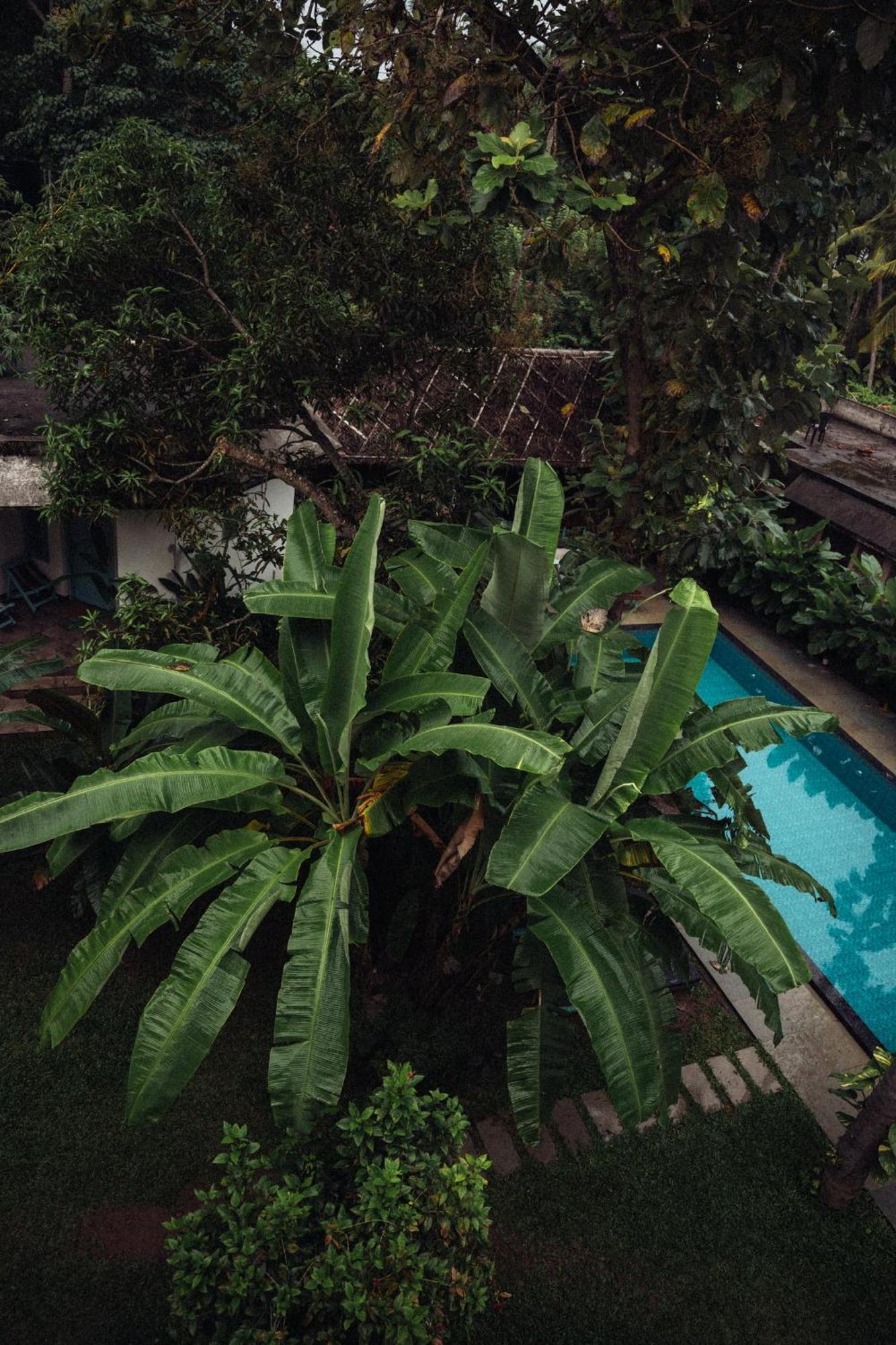 Paddlecult Surf Retreat Bed and Breakfast Varkala Exterior foto